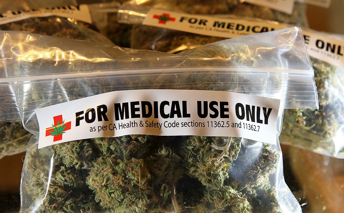 Будет ли медицинская марихуана в россии выгодно выращивать коноплю