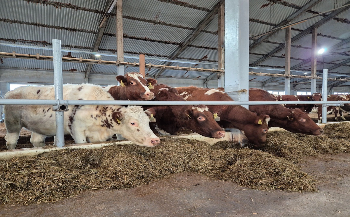 министерство сельского и рыбного хозяйства Карелии / vk.com