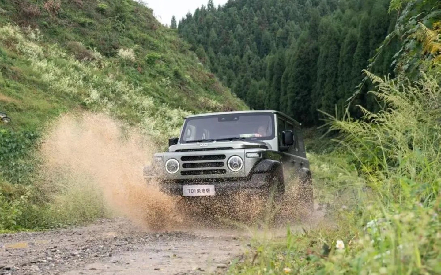 212 T01