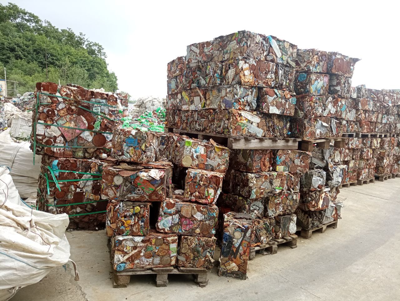 Фото: РБК Приморье