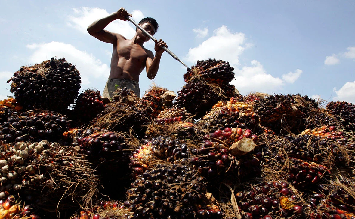 Dimas Ardian / Getty Images