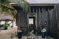 Фото: Terry Tao / The Corcoran Group