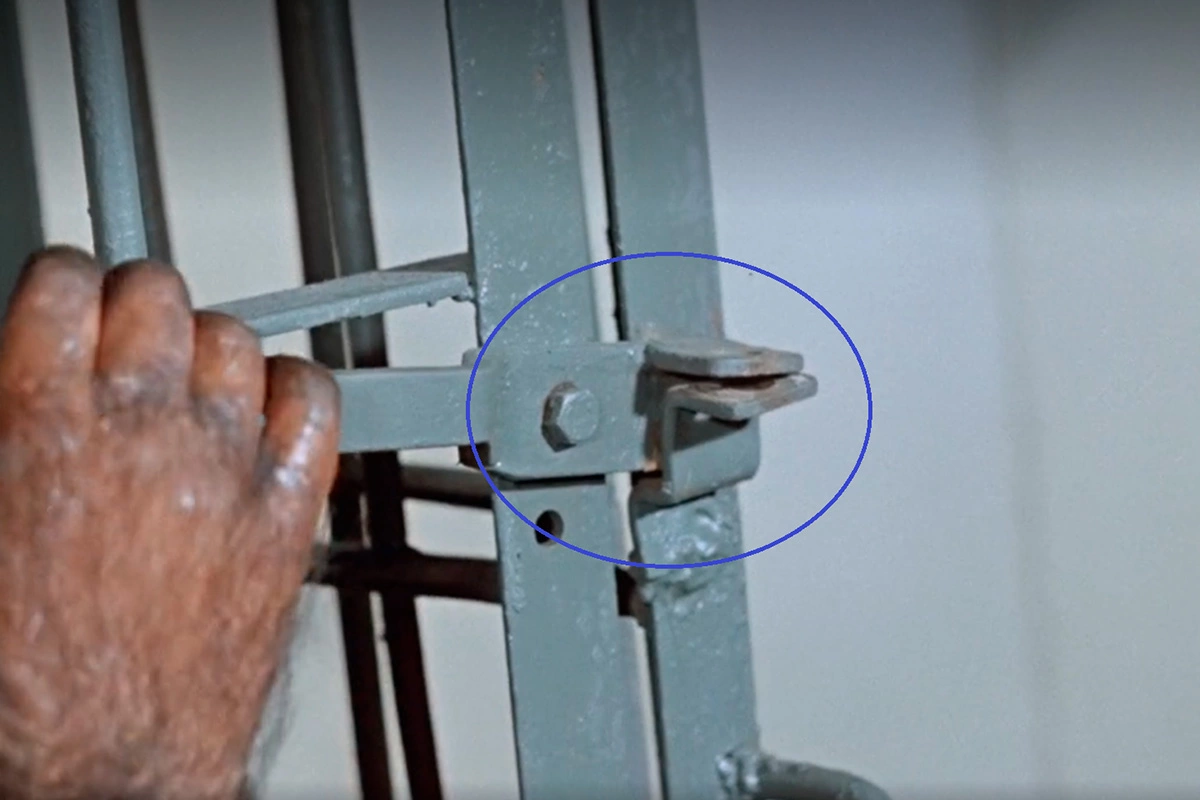 Шимпанзе выпускает всех хищников из клеток легким движением лапы, кадр из фильма «Полосатый рейс»