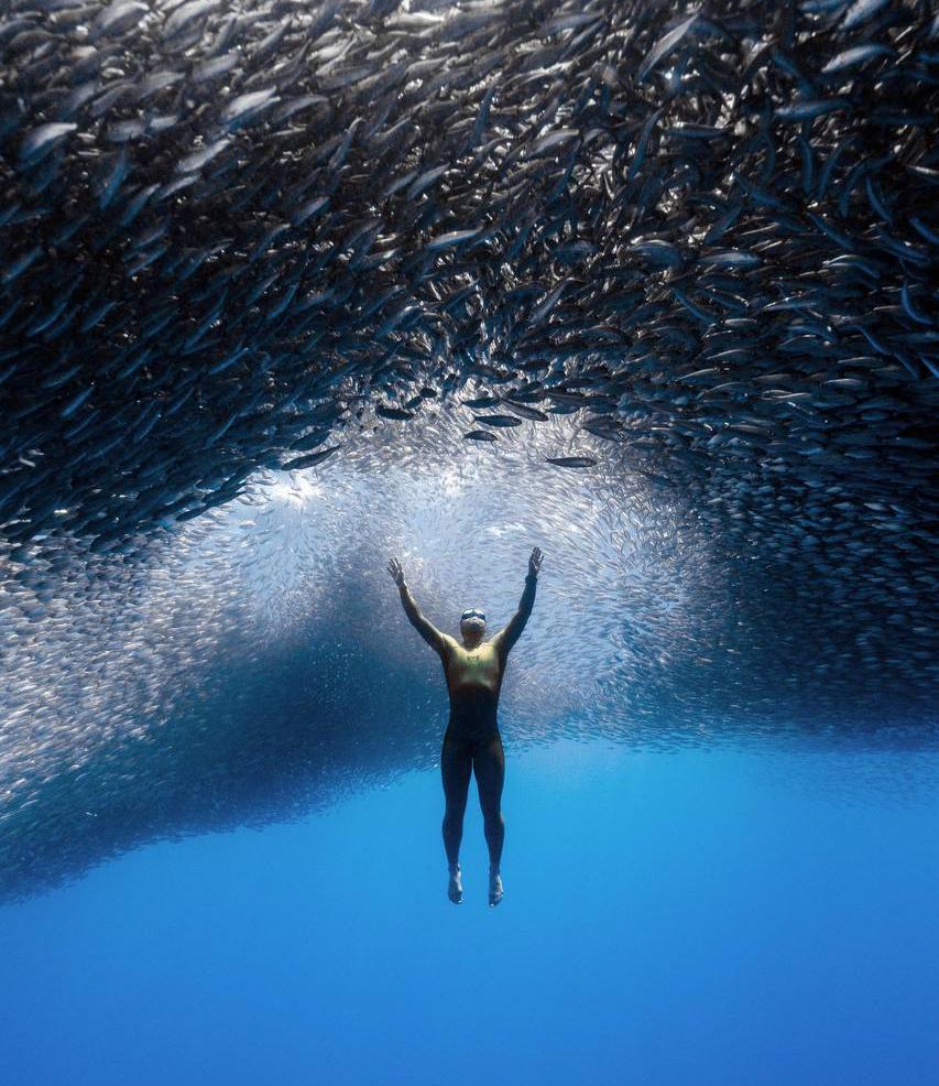 Фото: телеграм-канал Алексея Молчанова