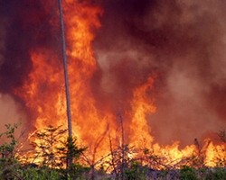 Режим ЧС в Забайкалье: лесные пожары оставили без электричества 7 поселков