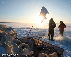 В Ленинградской области сотрудники МЧС сняли со льдины 60 рыбаков