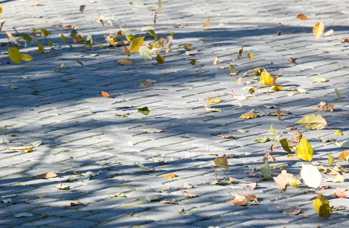 Денис Моргунов / РИА URA.RU