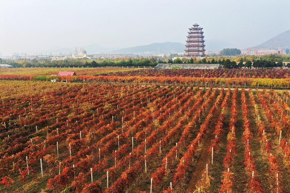 lizongxian / Shutterstock / FOTODOM