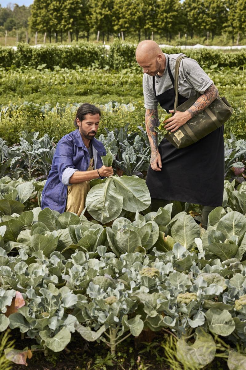 Фермеры&nbsp;курорта&nbsp;Wildflower Farms в долине Гудзона