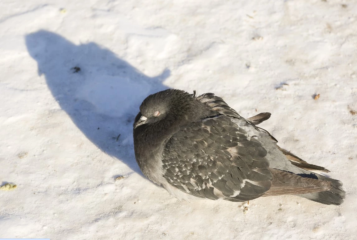 Денис Моргунов / URA.RU 