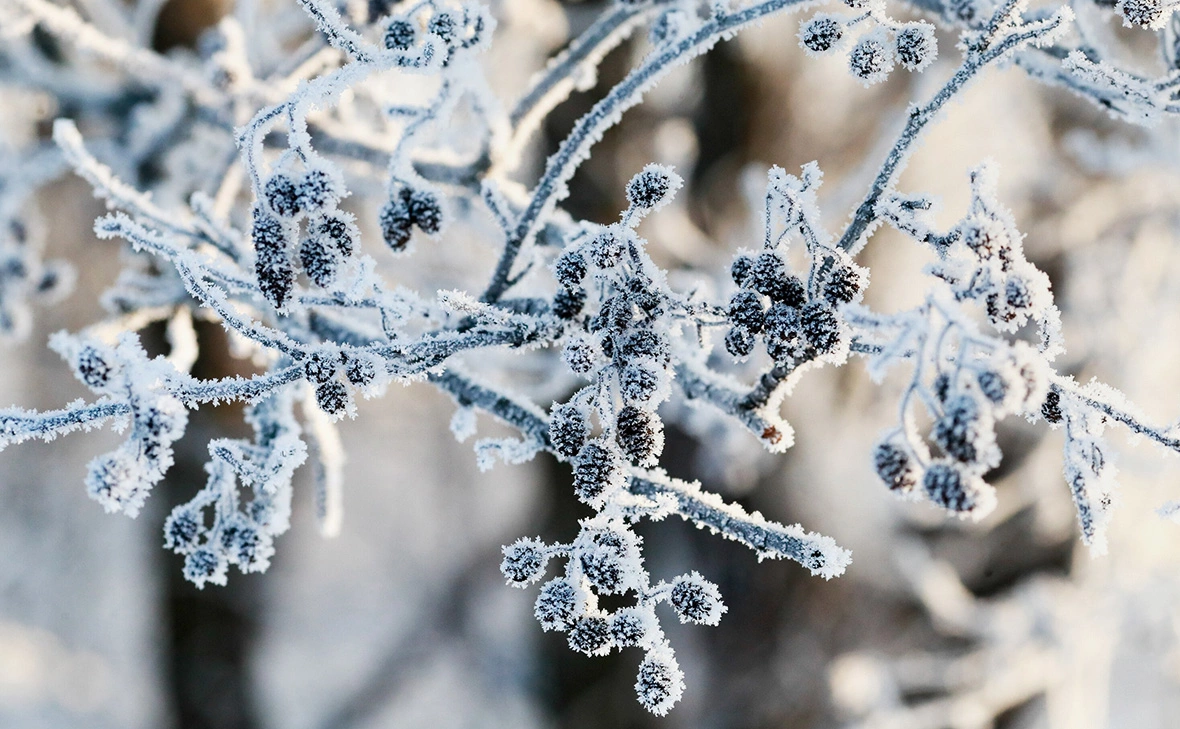 Василий Кузьмичёнок / АГН «Москва»