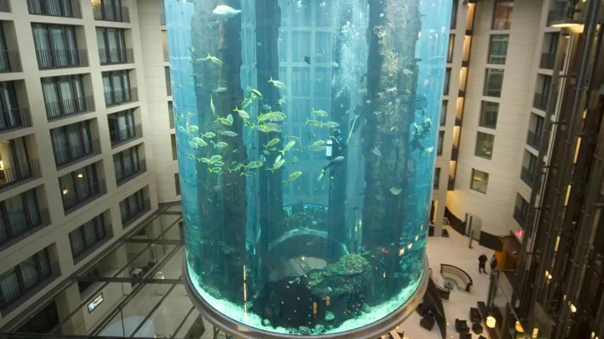 москва аквариум