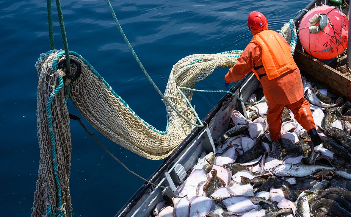 Сергей Красноухов / РИА Новости