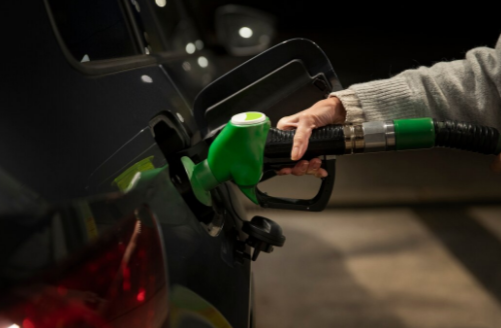 Фото: freepik.com