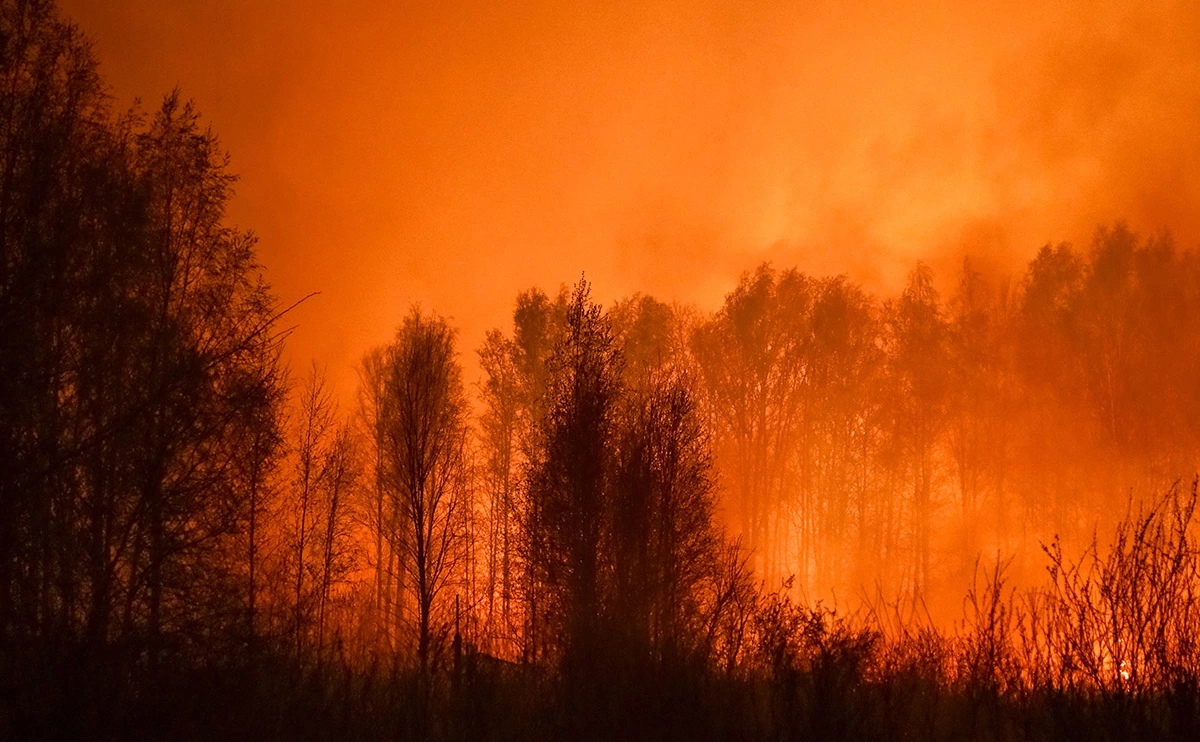 Максим Слуцкий / ТАСС