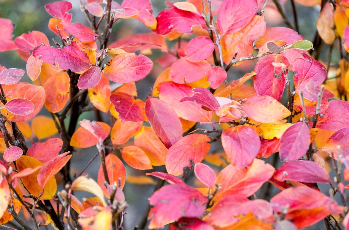 Денис Моргунов / URA.RU