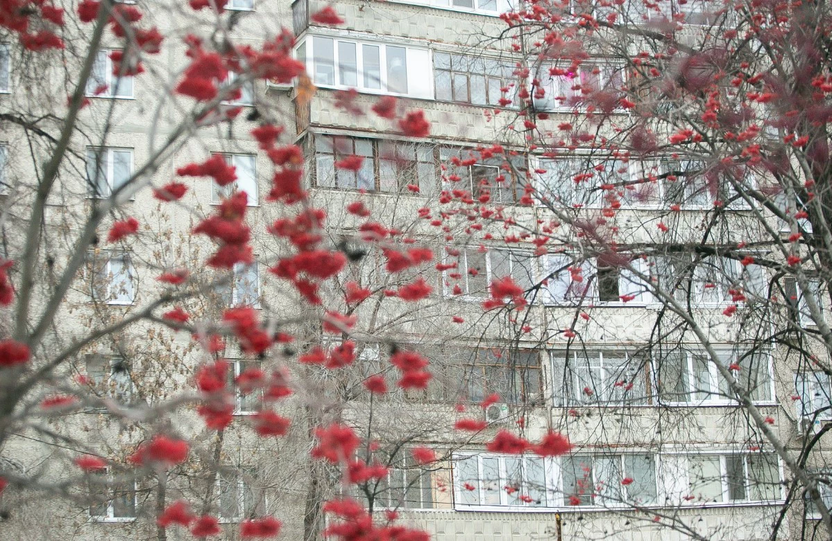 Денис Моргунов / РИА URA.RU