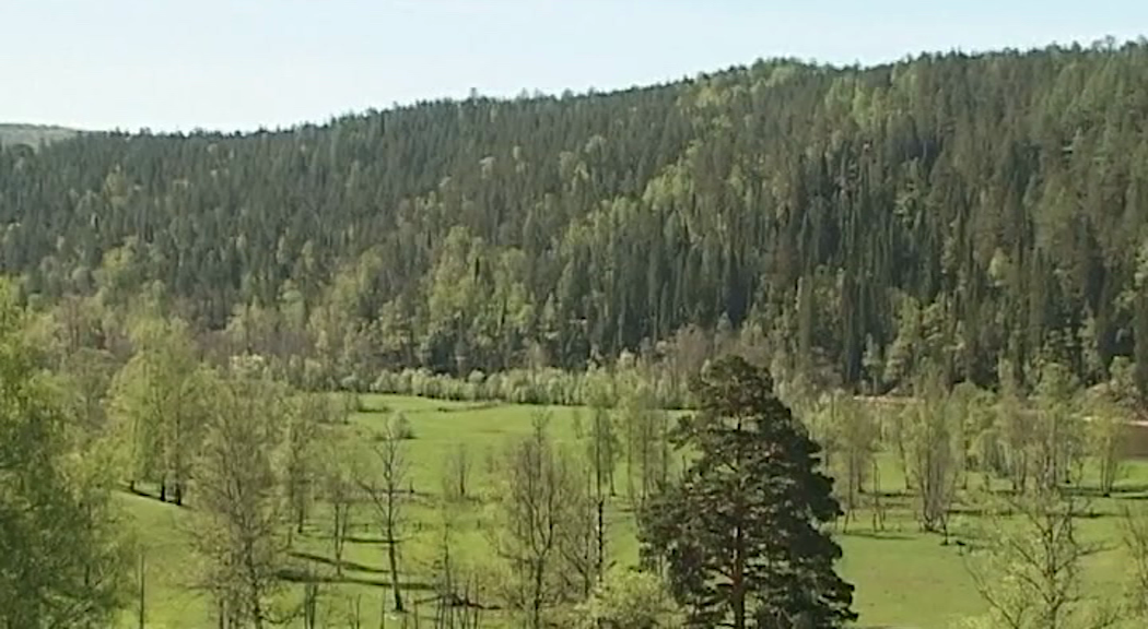 РБК Пермь 