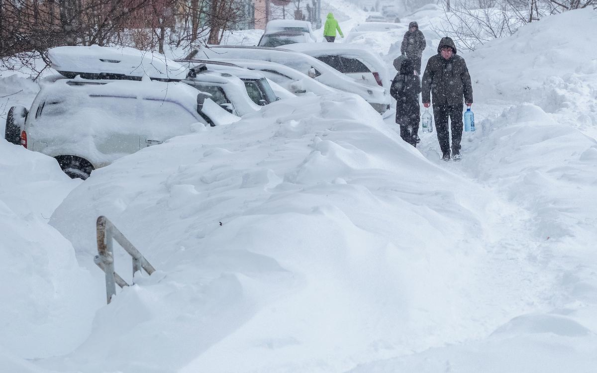 Фото: Кирилл Ясько / РИА Новости