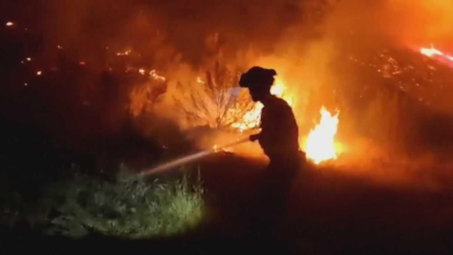Испанию и Францию охватили лесные пожары. Видео