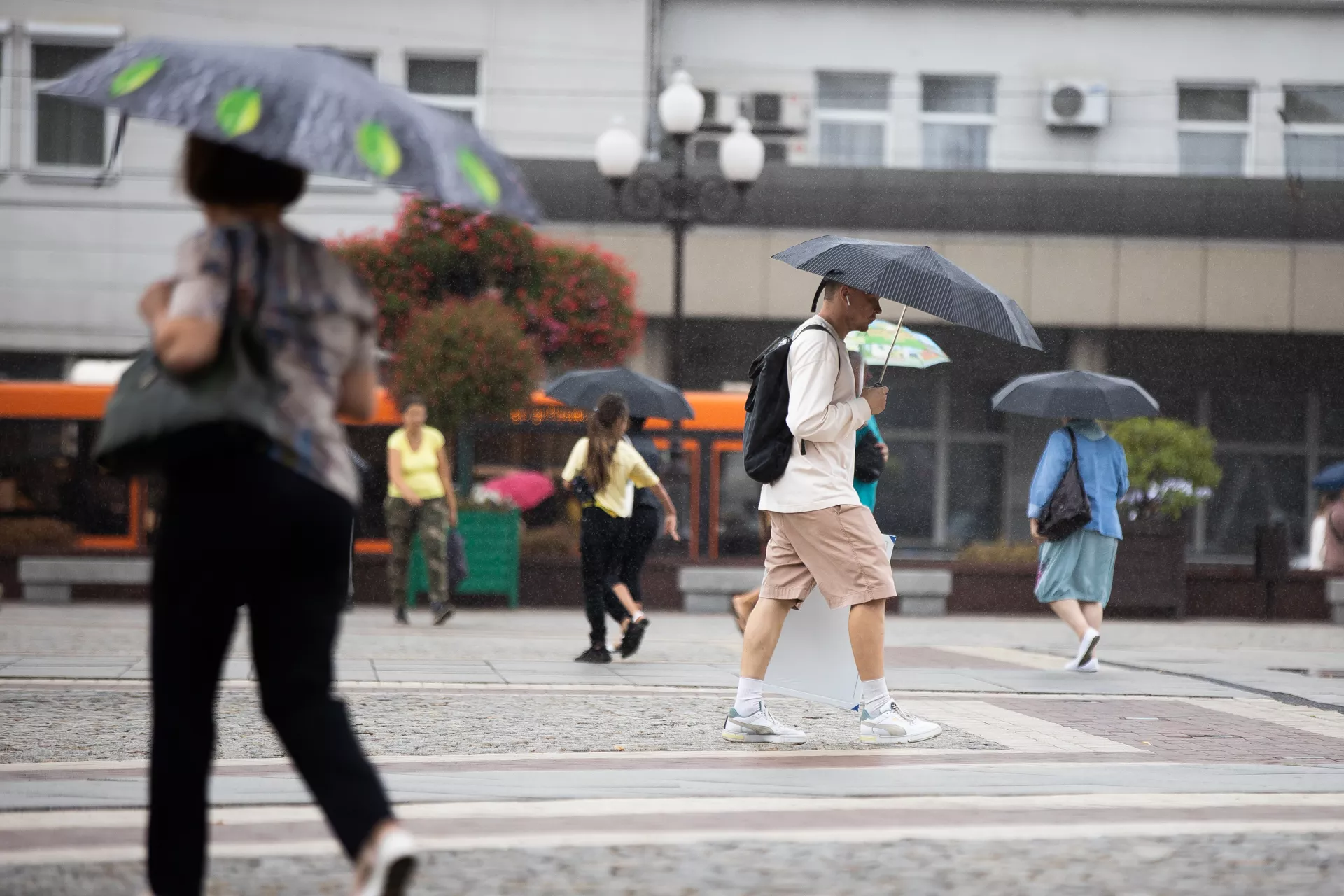 Александр Подгорчук