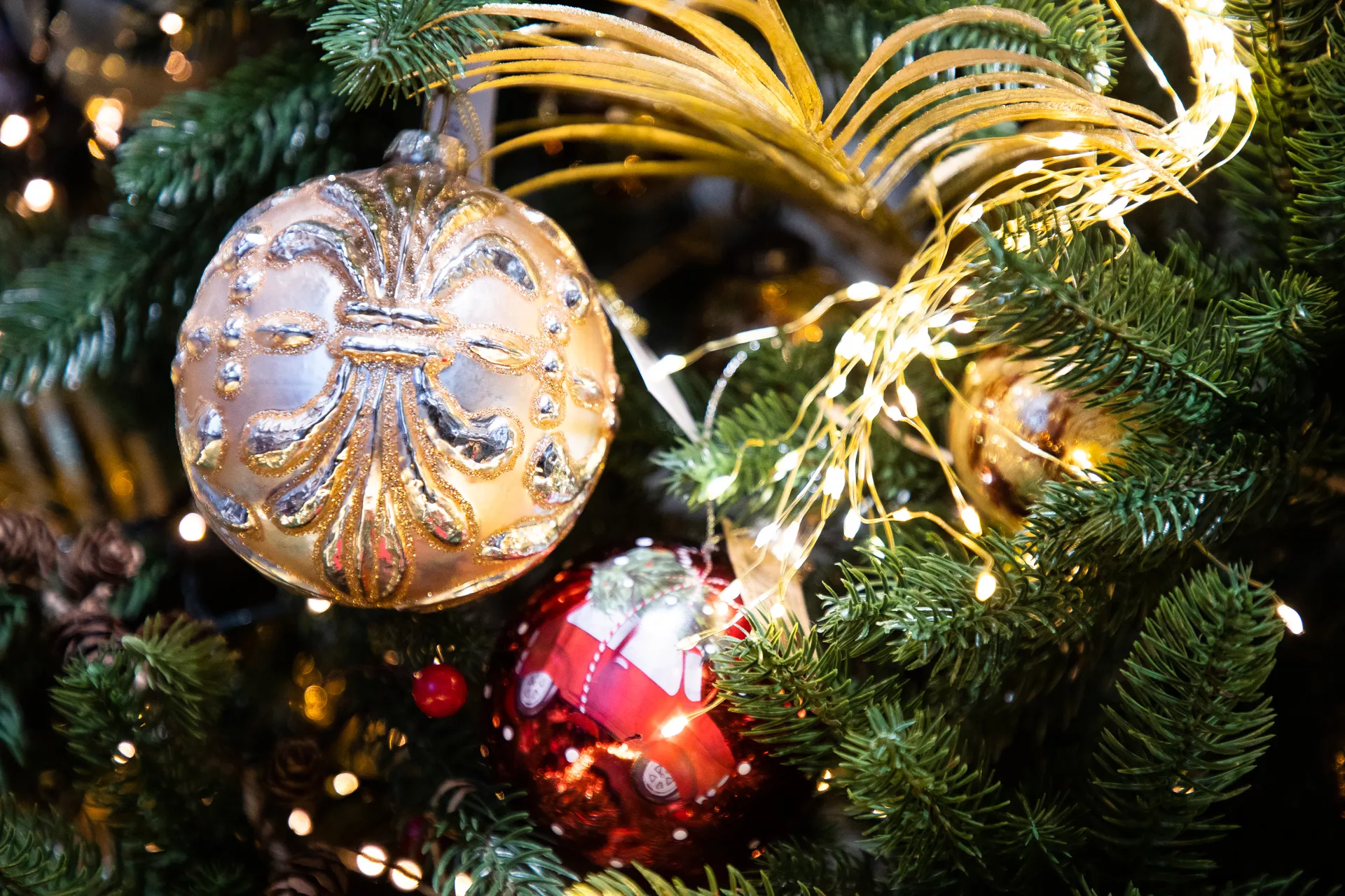 Александр Подгорчук