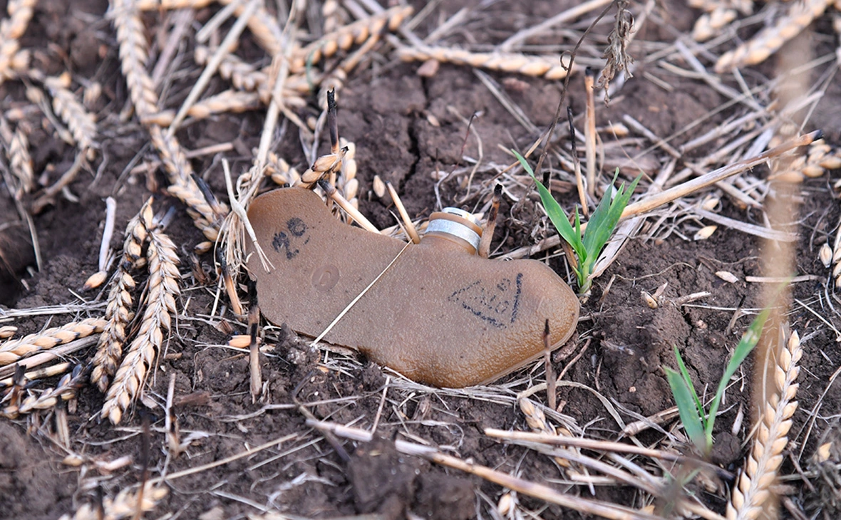 Виктор Антонюк / РИА Новости