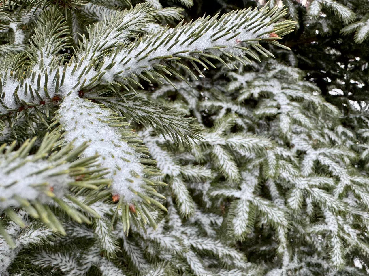 РБК Приморье