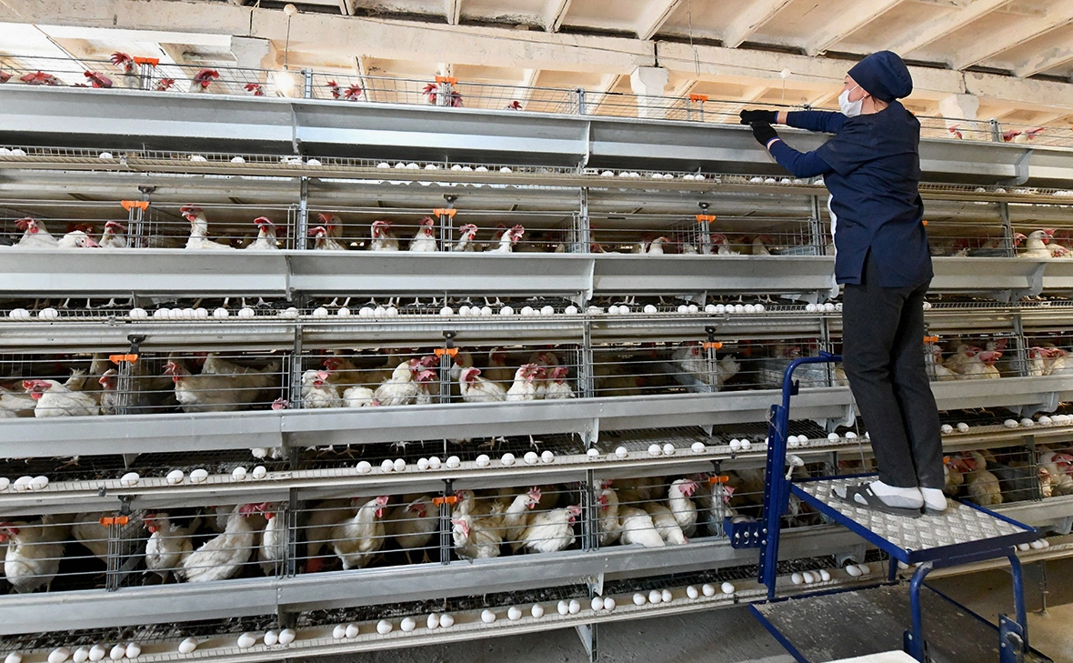 Евгений Епанчинцев / ТАСС