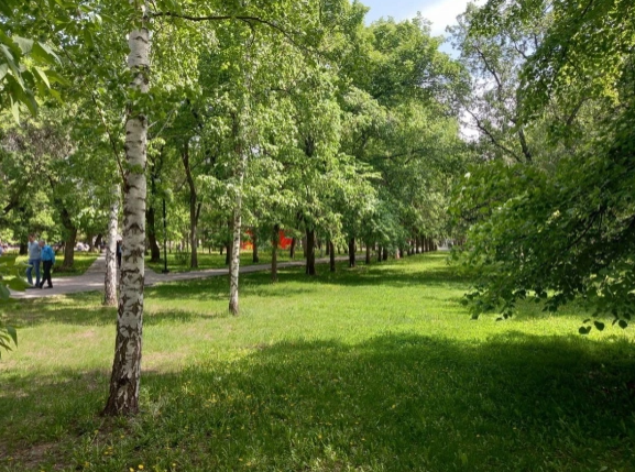 Фото: РБК Новосибирск