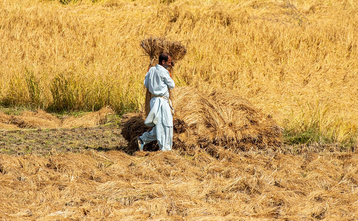 Faisal Bashir / Keystone Press Agency / Global Look Press