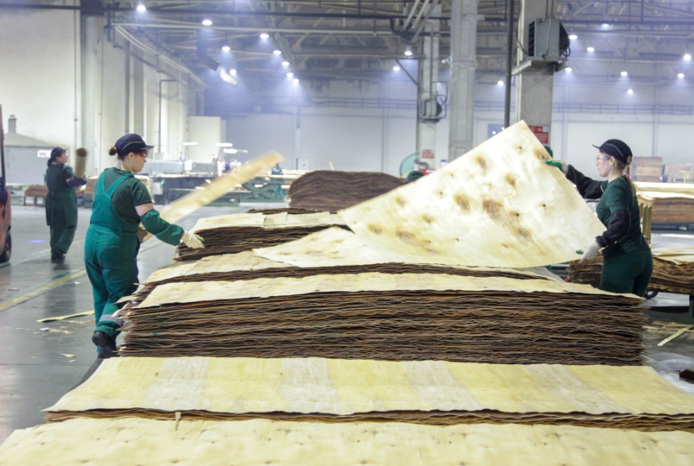 Фото: Ася Бронникова / URA.RU