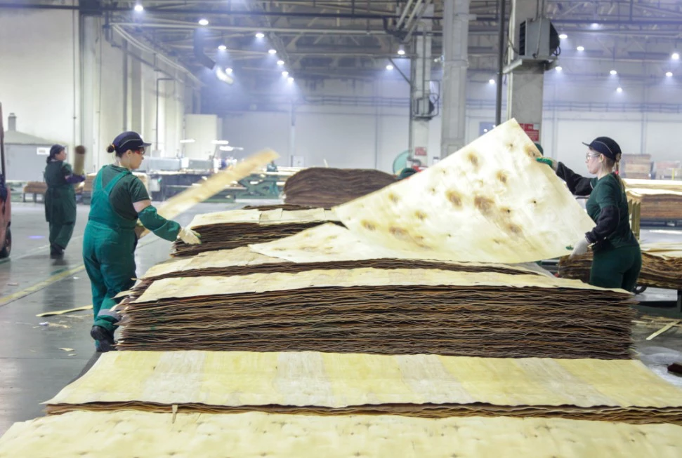 Ася Бронникова / URA.RU