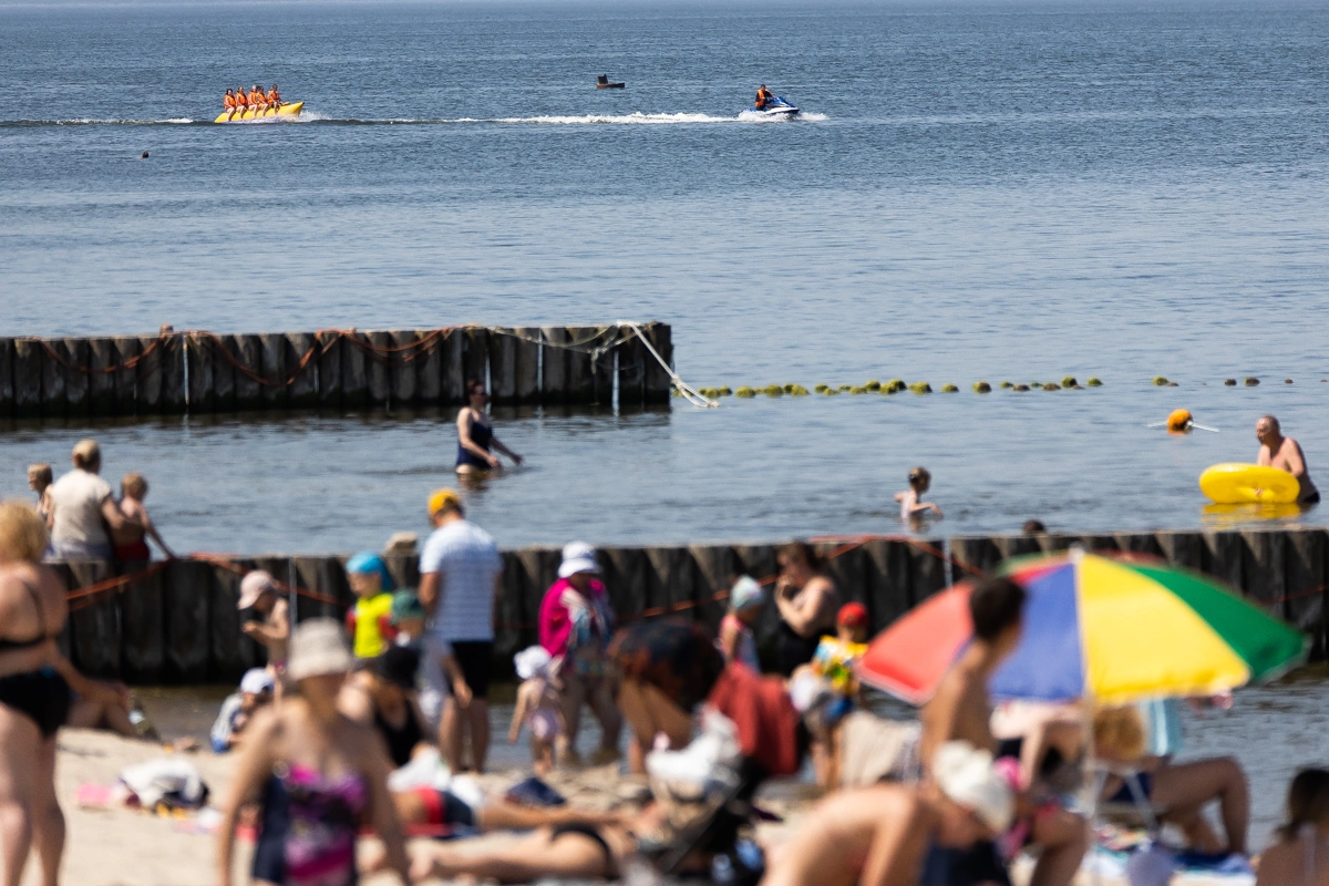 Александр Подгорчук