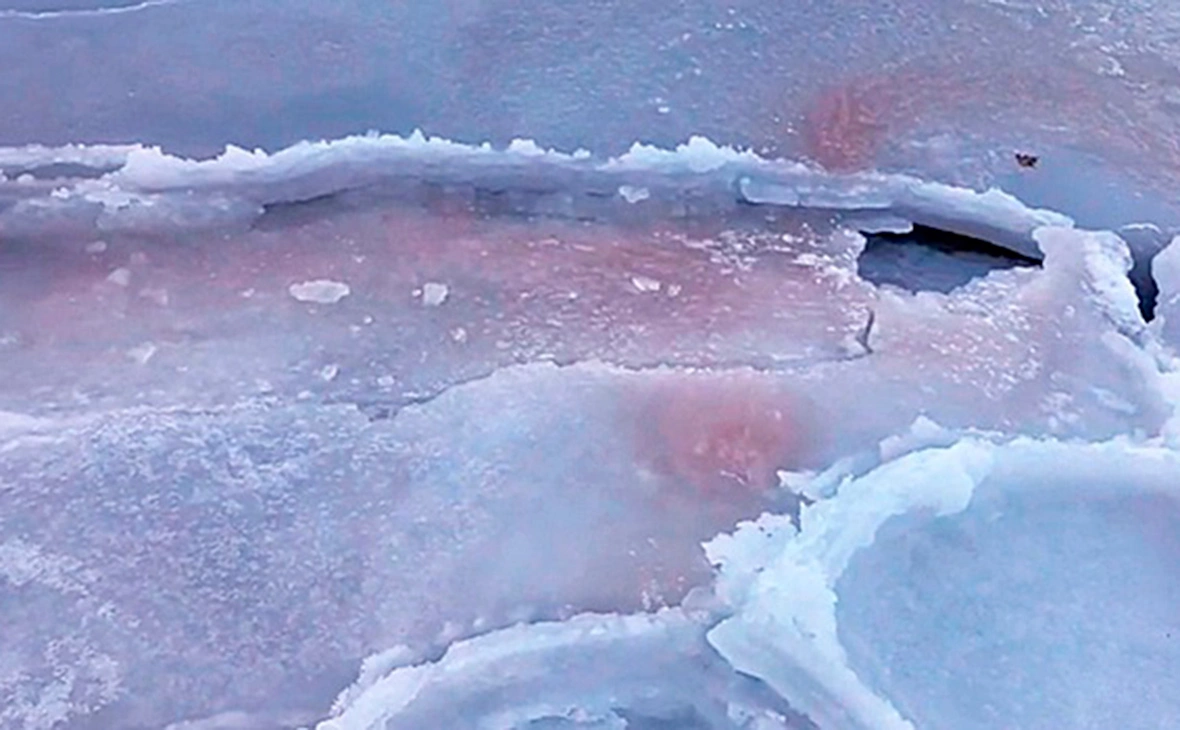 ННЦМБ ДВО РАН