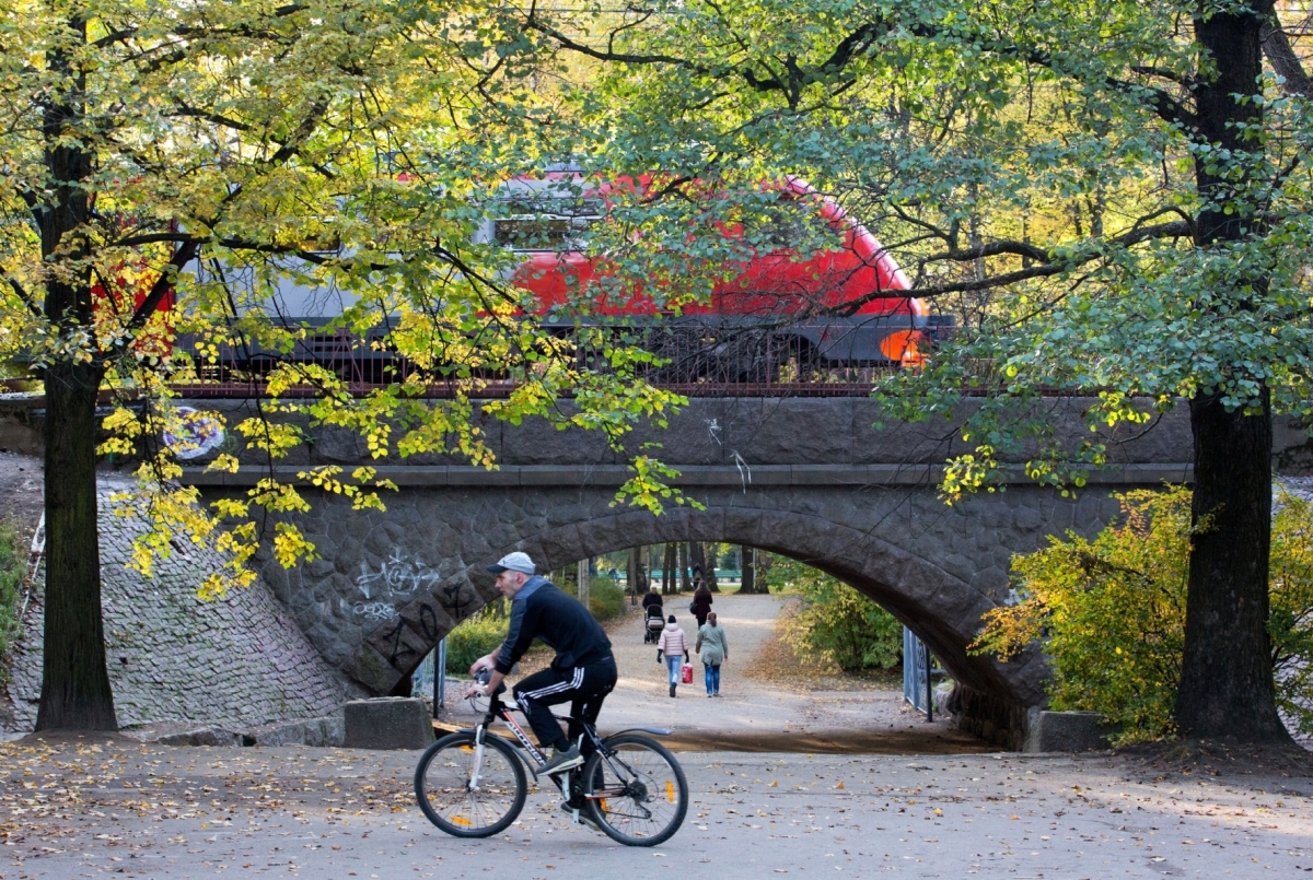 Фото: Куликов Сергей / PhotoXPress.ru