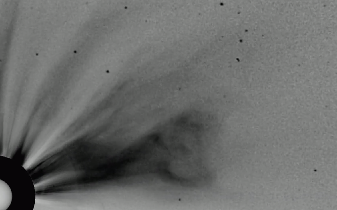 Фото: pixras / Telegram