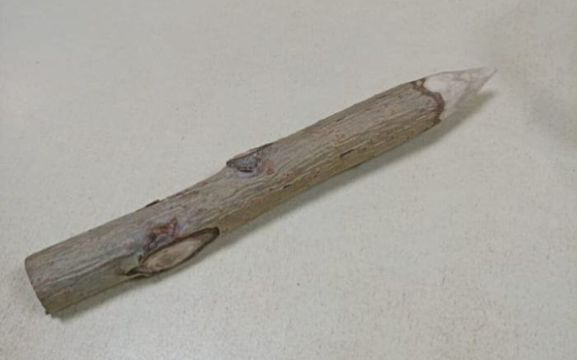 Фото: Главное управление Федеральной службы судебных приставов по Омской области