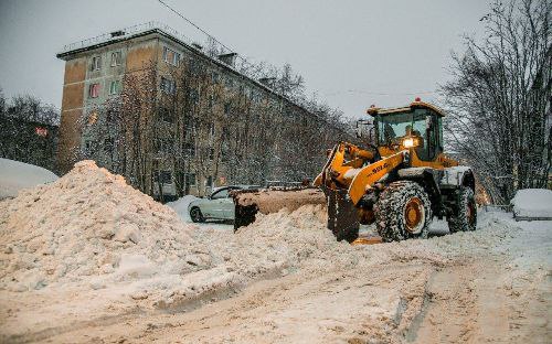 Фото: Иван Лебедев/ t.me