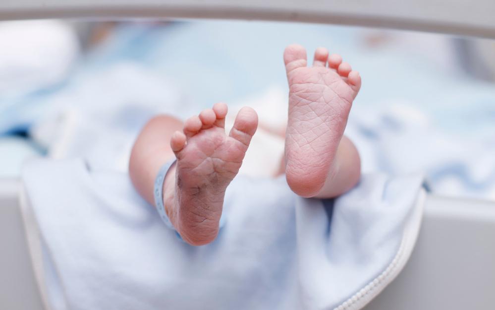 Фото: Shutterstock