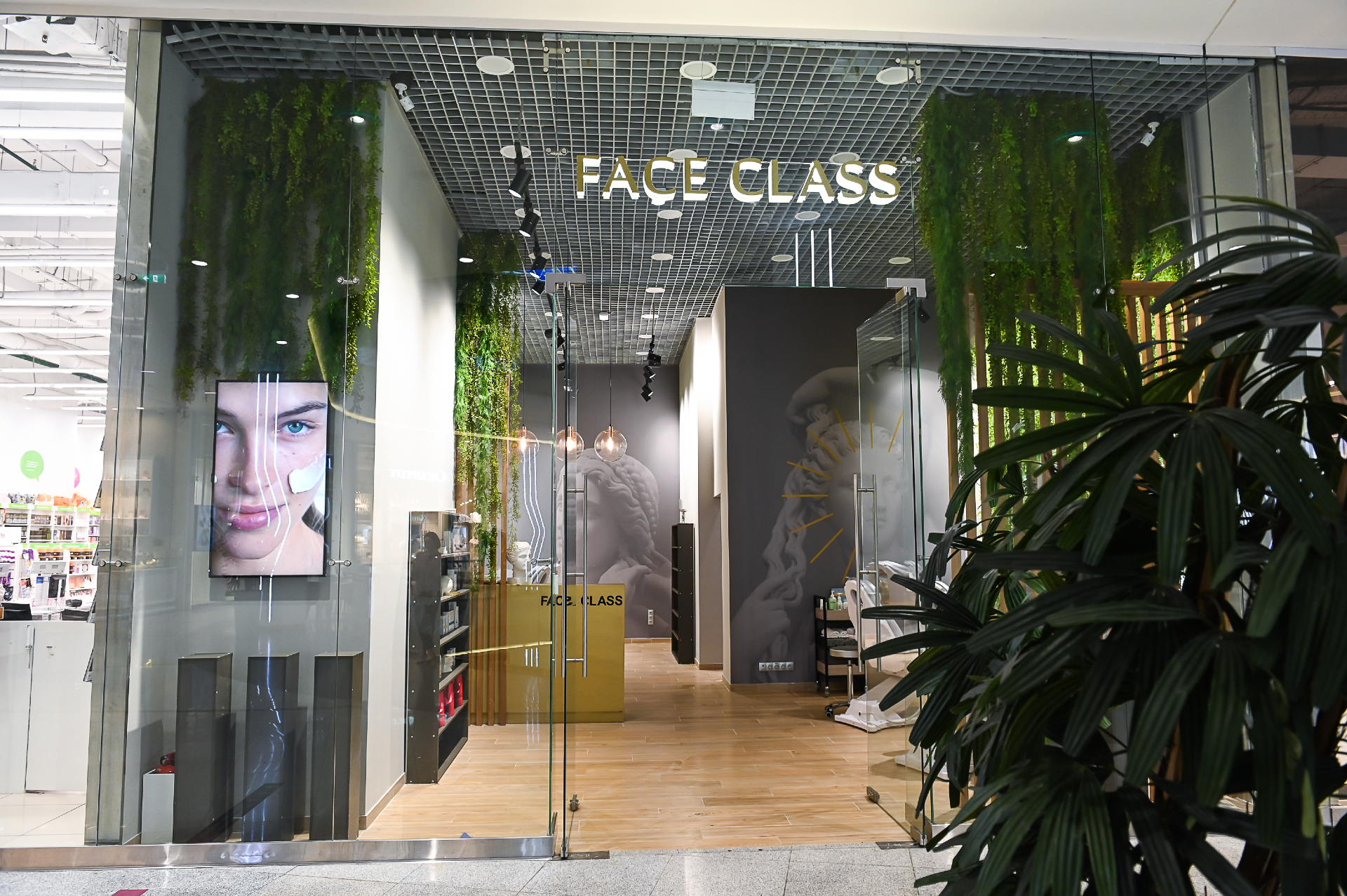 Сеть салонов фейслифтинга Face Class, расположенные в торговых центрах &laquo;Метрополис&raquo; (Ленинградское ш., 16А стр. 4) и &laquo;Океания&raquo; (Кутузовский просп., 57)