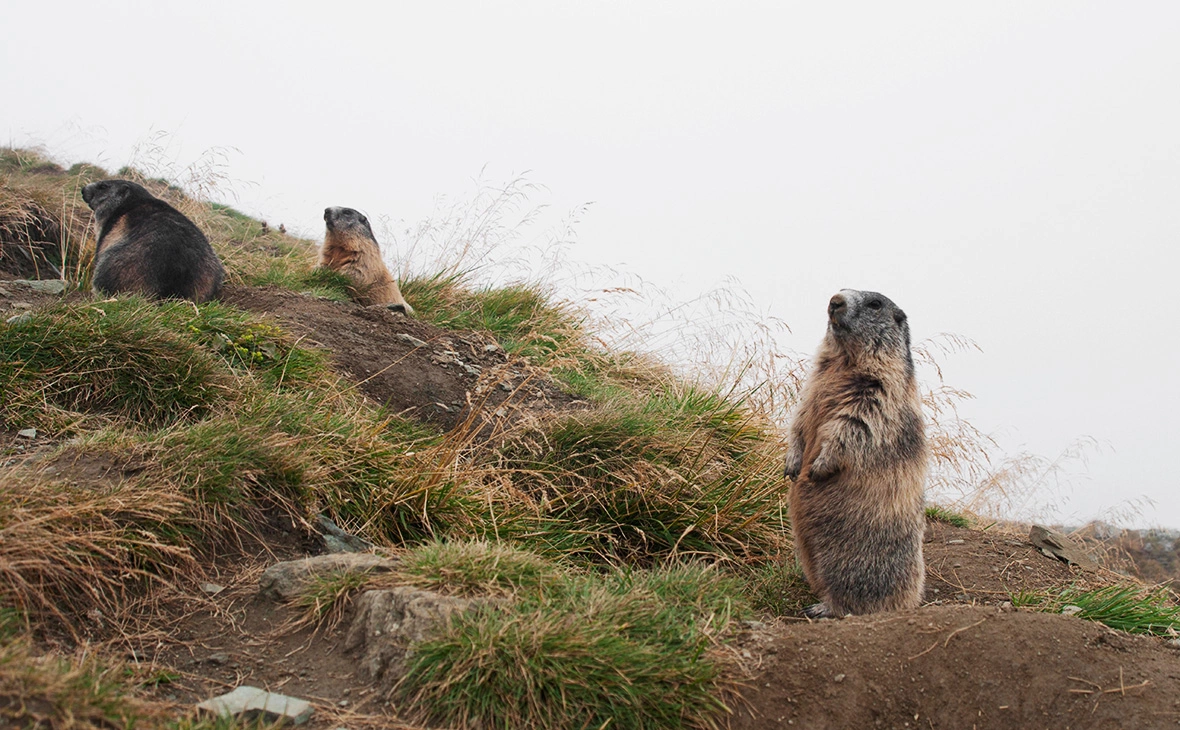 Michaela Walch / imagebroker.com / Global Look Press