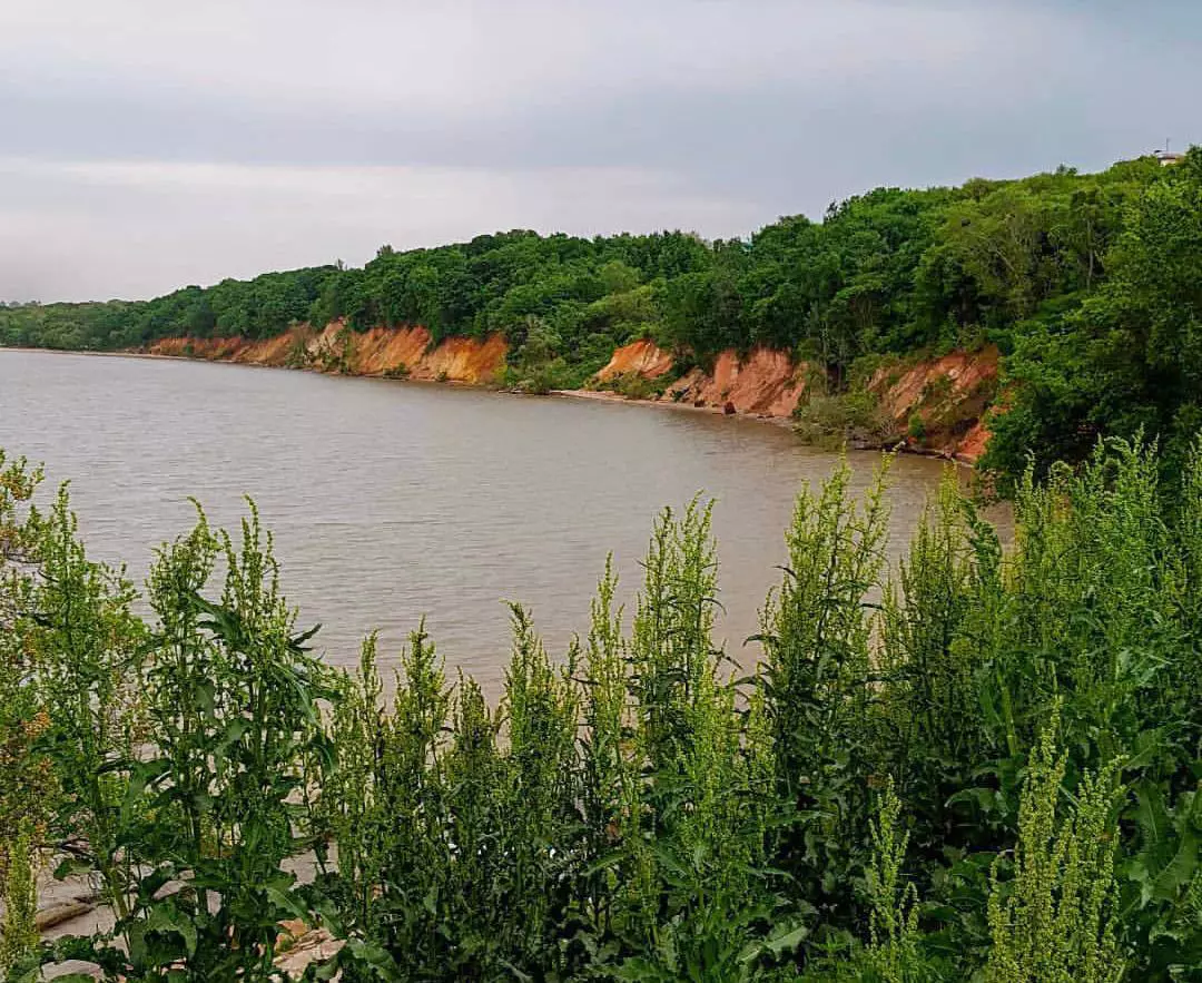 РБК Приморье