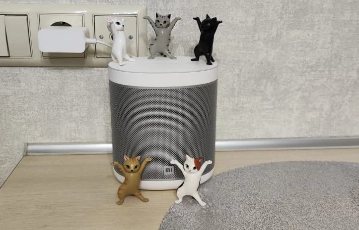 Светлана Садырина 