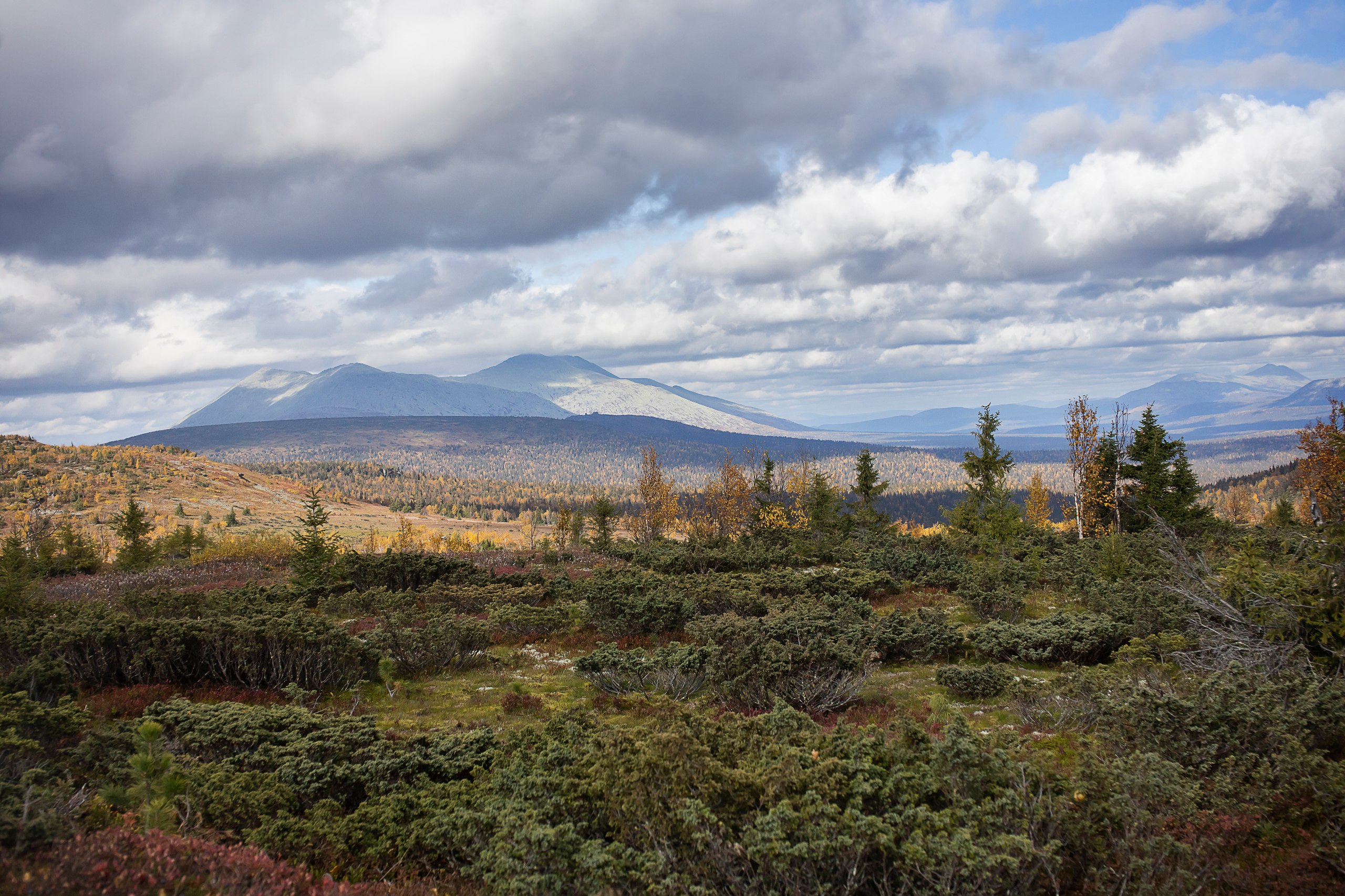 Фото: Государственный природный заповедник «Вишерский»