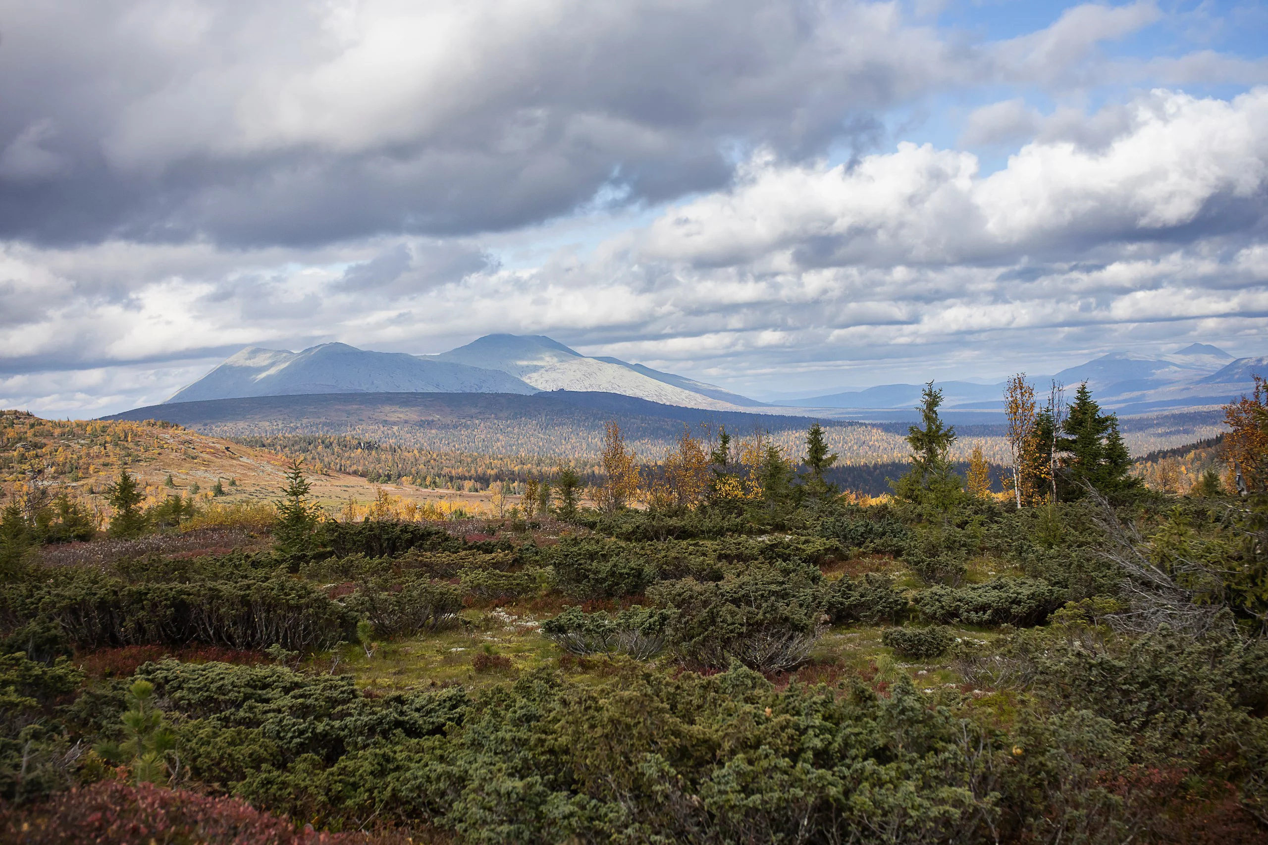 Государственный природный заповедник «Вишерский»