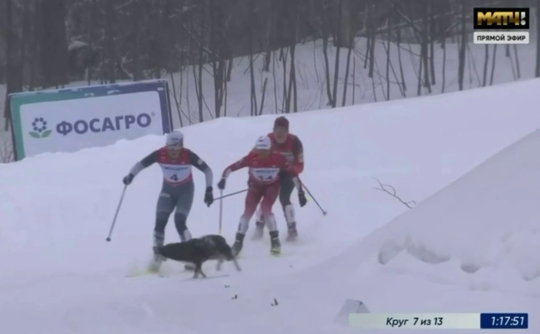 скриншот с трансляции