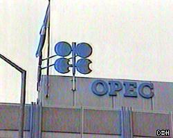 В марте ОПЕК может снизить объемы добычи нефти