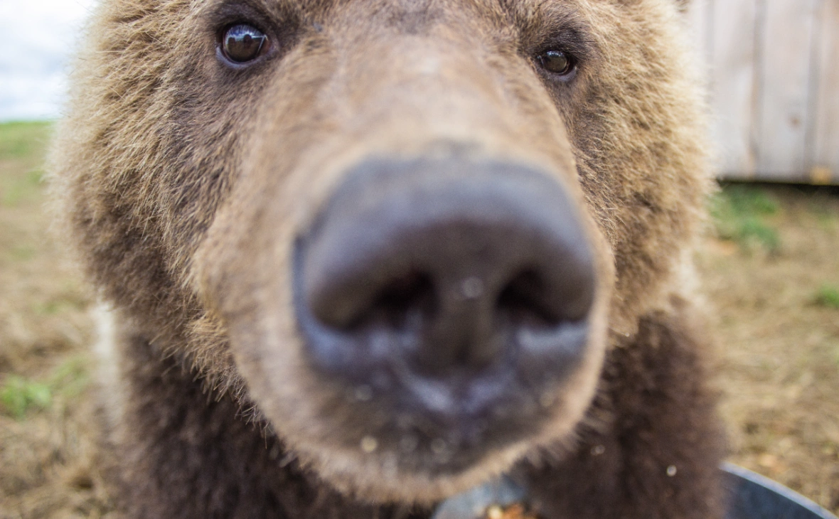 Andrey Ivanov / Global Look Press