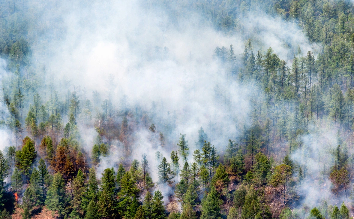 Сергей Фомин / Global Look Press